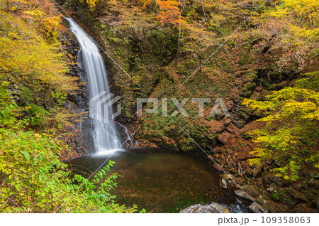秋の大仙の滝 紅葉と滝 世立八滝 秋の大仙の滝 紅葉と滝 世立八滝 109358063