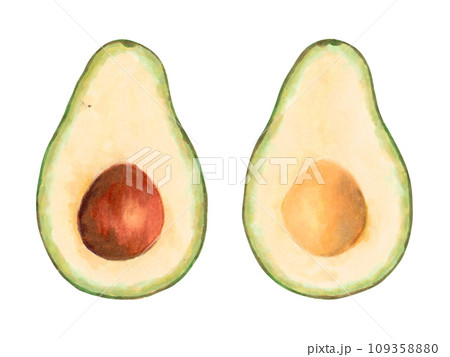 Cutaway avocado fruit with pit.Vegan organic food product for natural product packaging, design menu, web.Marker illustration in watercolor style.Green fruit.Isolated hand art. 109358880