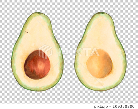 Cutaway avocado fruit with pit.Vegan organic food product for natural product packaging, design menu, web.Marker illustration in watercolor style.Green fruit.Isolated hand art. 109358880