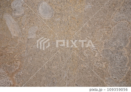 Cream color sea tiles background 109359056