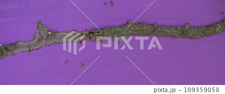 Tunnel of termites colony 109359058