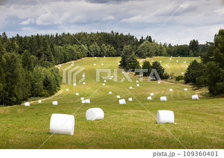 Bales of straw wrapped in white foil on field - Czech Canada natural park 109360401