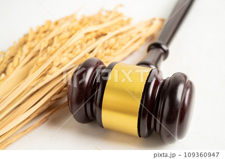 Judge gavel hammer with good grain rice from agriculture farm. Law and justice court concept. Judge gavel hammer with good grain rice from agriculture farm. Law and justice court concept. 109360947