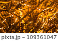 ハート型の光のイルミネーション 109361047