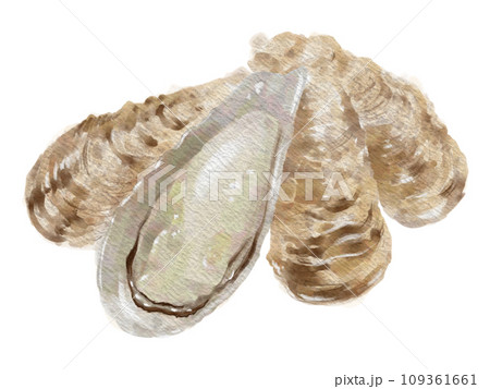 水彩の牡蠣01_1 水彩の牡蠣01_1 109361661