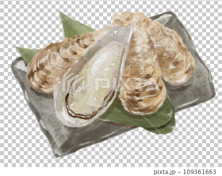 水彩牡蠣01_5 水彩牡蠣01_5 109361663