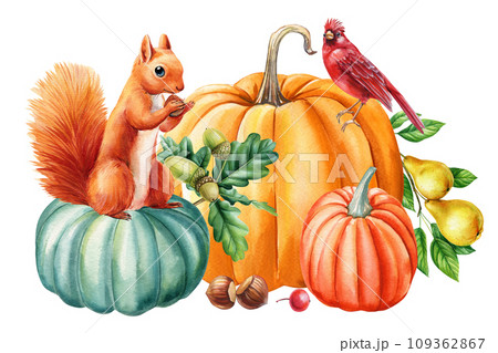 Squirrel, bird, acorn, pumpkin and pear hand drawing illustration. Autumn fall poster. Watercolor Cute animal Squirrel, bird, acorn, pumpkin and pear hand drawing illustration. Autumn fall poster. Watercolor Cute animal 109362867