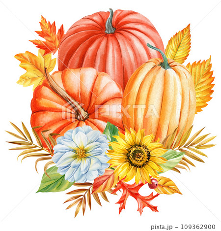 Watercolor sunflower, pumpkin and colorful leaves, autumn clipart. Watercolor floral illustration. Hand drawn pumpkins 109362900