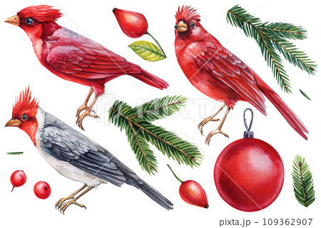 Christmas newest red birds