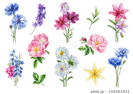 Wildflower Watercolor. Beautiful bouquets of flowers on isolated white background, watercolor botanical painting Wildflower Watercolor. Beautiful bouquets of flowers on isolated white background, watercolor botanical painting 109362931