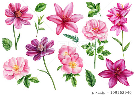 Watercolor floral illustration set. Pink flower, green leaves branches for wallpapers, fashion, design, greeting card Watercolor floral illustration set. Pink flower, green leaves branches for wallpapers, fashion, design, greeting card 109362940