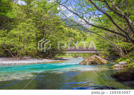 【初夏の上高地】田代橋周辺の新緑と梓川の流れ 109363097