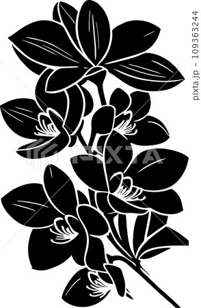 simple black outline drawing silhouette of orchid flower, design 109363244