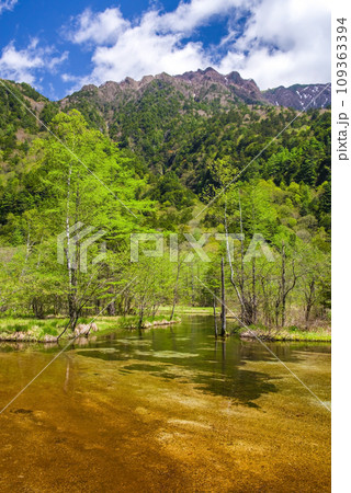 【上高地の絶景】新緑が眩しい初夏の田代池と六百山 【上高地の絶景】新緑が眩しい初夏の田代池と六百山 109363394