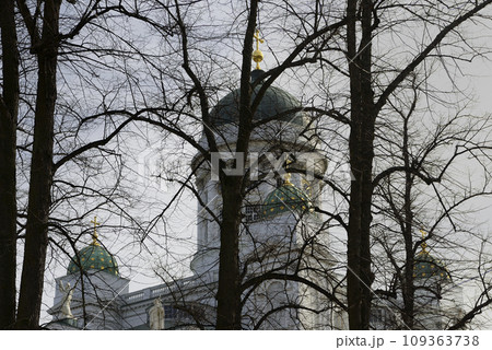 domes of Helsinki Cathedral behind silhouettes of trees 109363738