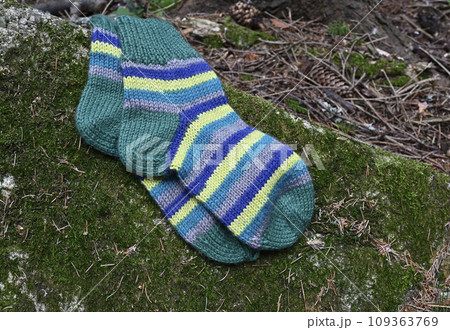 a pair of woolen socks on a stone in the forest a pair of woolen socks on a stone in the forest 109363769