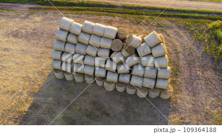 Many twisted dry wheat straw in roll bales on field during sunset sunrise. Large bales straw after harvest twisted into rolls on field. Rural sunny landscape, countryside scenery. Aerial drone view, Many twisted dry wheat straw in roll bales on field during sunset sunrise. Large bales straw after harvest twisted into rolls on field. Rural sunny landscape, countryside scenery. Aerial drone view, 109364188