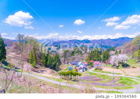 【春素材】春の絶景・小川村番所の桜【長野県】 109364560
