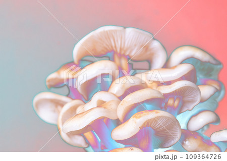 Close-up of unusual blue orange mushrooms, color inversion. Macro Close-up of unusual blue orange mushrooms, color inversion. Macro 109364726