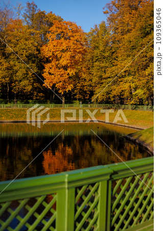 early autumn in city park or garden, green and yellow trees are reflected in lake or pond early autumn in city park or garden, green and yellow trees are reflected in lake or pond 109365046