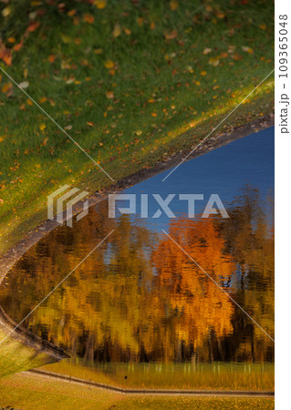 early autumn in city park or garden, green and yellow trees are reflected in lake or pond early autumn in city park or garden, green and yellow trees are reflected in lake or pond 109365048