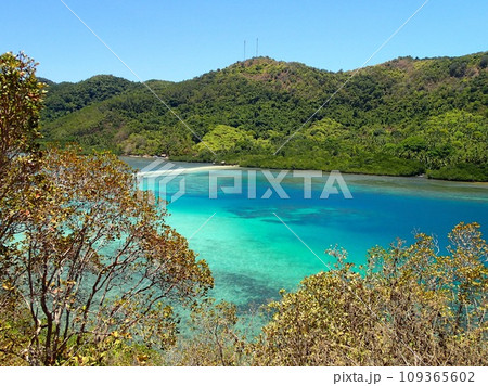 小高い丘からみるエメラルドグリーンの海 小高い丘からみるエメラルドグリーンの海 109365602