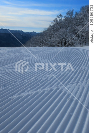 冬の朝、縦縞模様のユートピアサイオトのゲレンデ/イエティコース（日本 広島県山県郡北広島町） 109366753