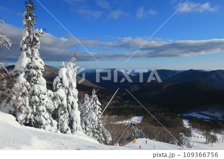 恐羅漢山 頂上付近から眺める冬景色(日本 広島県山県郡安芸太田町)  恐羅漢山 頂上付近から眺める冬景色(日本 広島県山県郡安芸太田町)  109366756