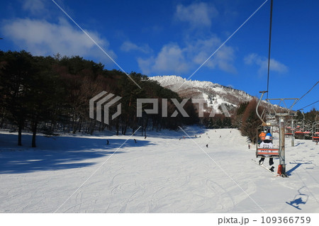 強羅漢スノーパークにてリフトからゲレンデを望む（日本 広島県山県郡安芸太田町）  109366759
