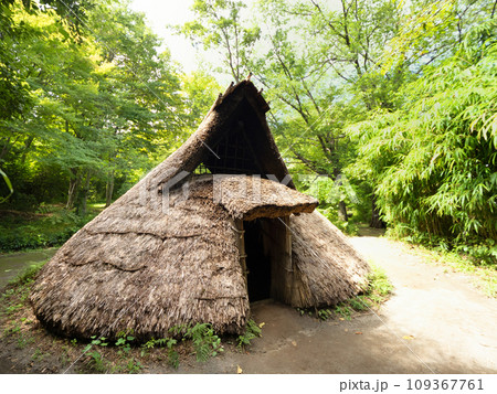 復元された竪穴住居 東京都 復元された竪穴住居 東京都 109367761