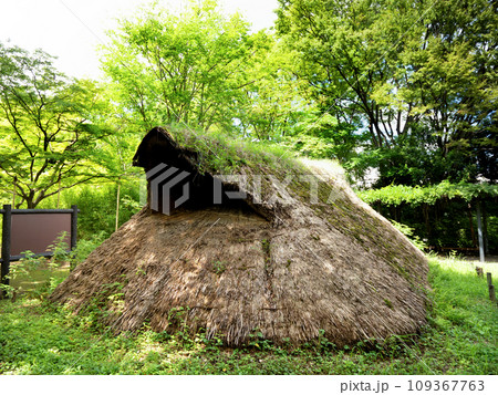 復元された竪穴住居 東京都 復元された竪穴住居 東京都 109367763