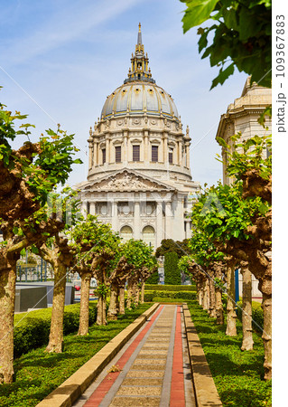 Pathway through trees in city hall memorial court in San Francisco 109367883