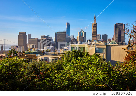 San Francisco downtown city view from Telegraph Hill on bright summer day 109367926