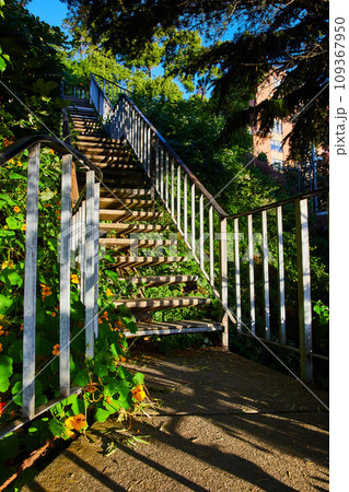 Stairs with nature popping through leading up nature covered area on sunny day 109367950