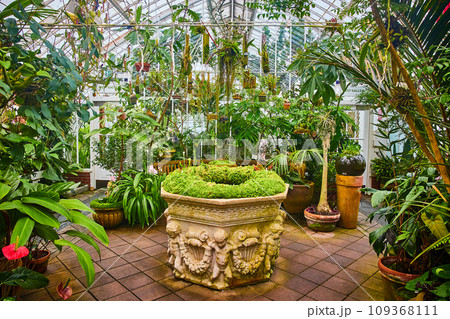 Concrete planter with angels and harps inside conservatory green house with hanging plants 109368111