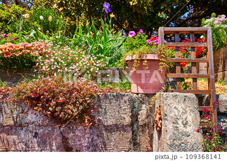 Flower pot on concrete wall with trellis and multiple colorful flowers 109368141