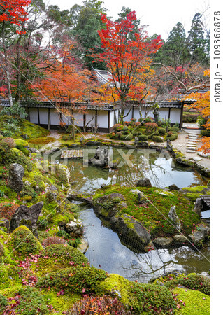 湖東三山　西明寺　秋 109368878