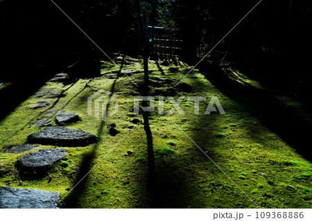 湖東三山　西明寺　秋 109368886