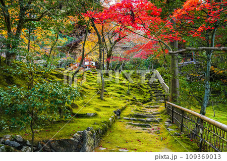 湖東三山　西明寺　秋 109369013