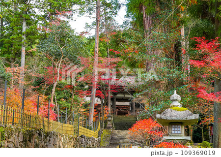 湖東三山　西明寺　秋 109369019