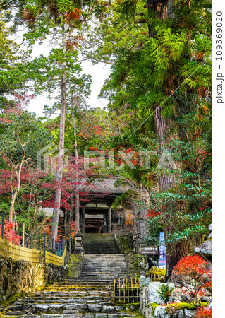 湖東三山 西明寺 秋 湖東三山 西明寺 秋 109369020