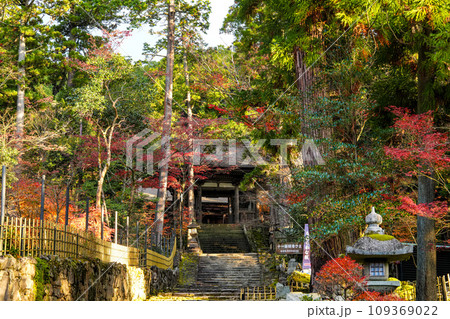 湖東三山　西明寺　秋 109369022