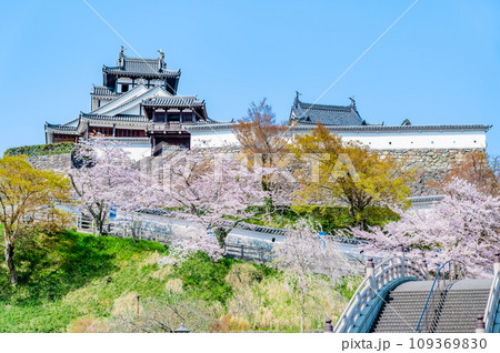 京都 福知山城 ~天守と桜~ 京都 福知山城 ~天守と桜~ 109369830