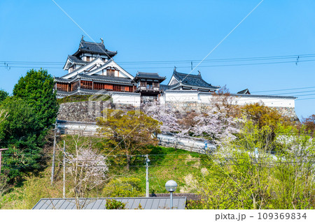 京都 福知山城 ~天守と桜~ 京都 福知山城 ~天守と桜~ 109369834