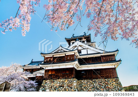 京都 福知山城 ~天守と桜~ 京都 福知山城 ~天守と桜~ 109369843