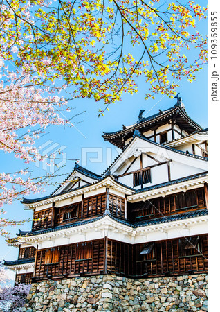 京都 福知山城　～天守と桜～ 109369855