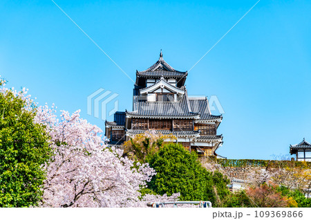 京都 福知山城 ~天守と桜~ 京都 福知山城 ~天守と桜~ 109369866