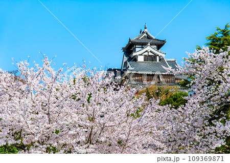 京都 福知山城　～天守と桜～ 109369871