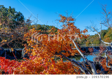 2023けいはんな記念公園の紅葉　水景園　赤から橙の見事なグラデーションの紅葉と滝のある風景 109370196