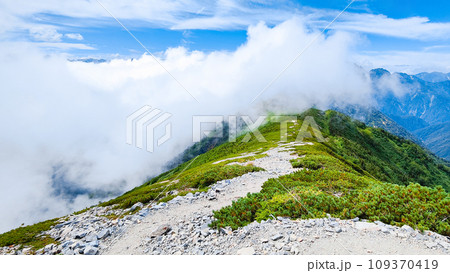 夏の爺ヶ岳登山（爺ヶ岳南峰～種池山荘） 109370419